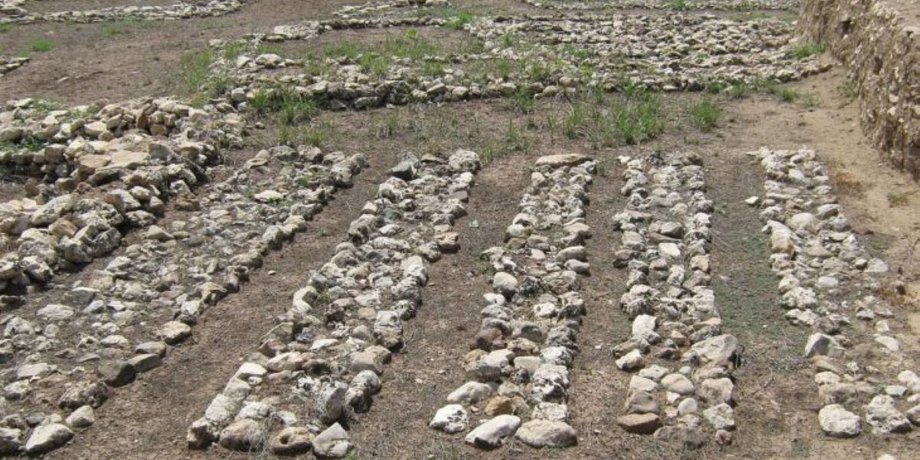 археологи раскопали самый старый в мире дом