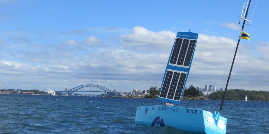 морской дрон, дрон Bluebottle, надводный дрон