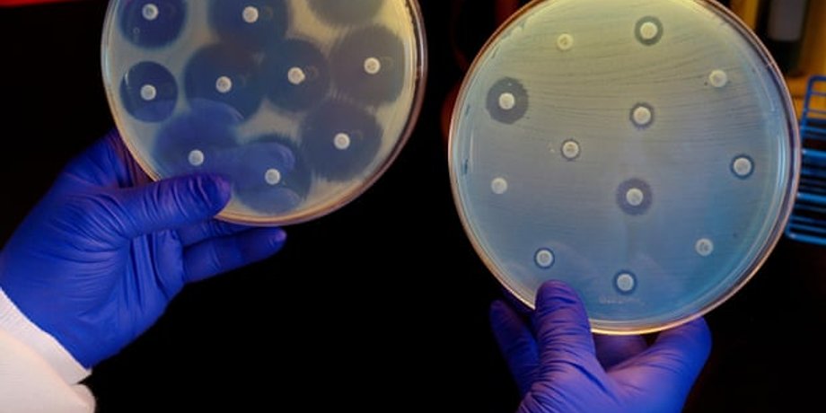 Science History Images/Alamy