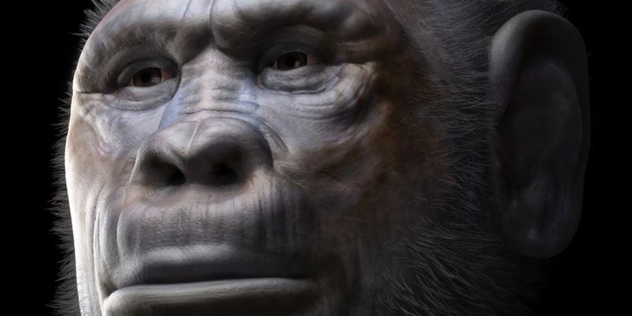 Homo georgicus