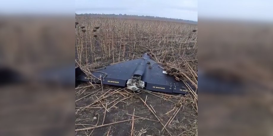 "Шахед" ЗС РФ, який відшукали в полі під Одесою