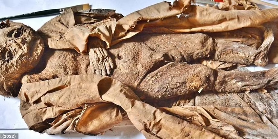 Мумия, аристократия, останки человека, археология