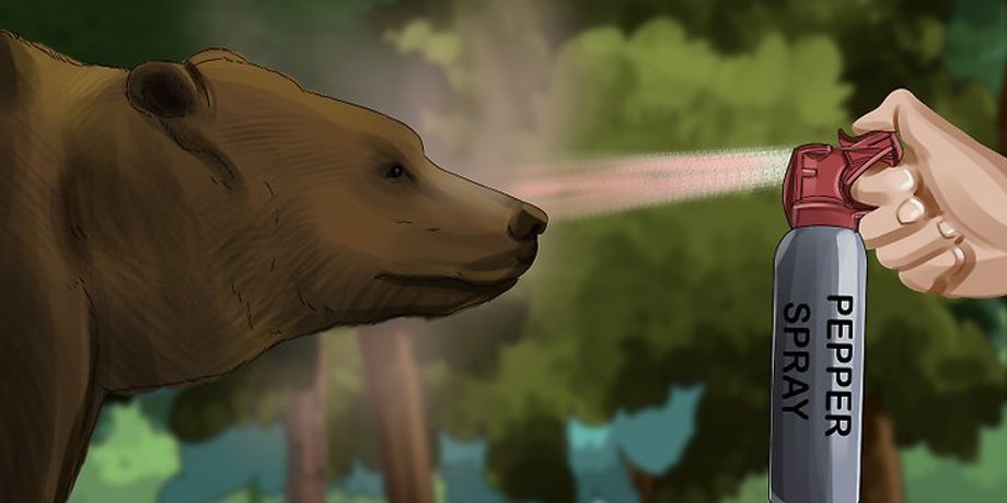Иллюстрация: wikiHow