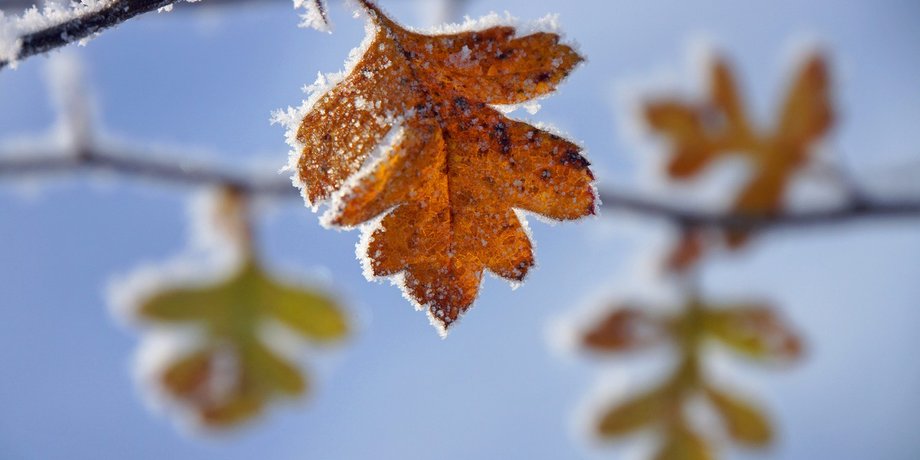 Фото: goodfon.ru