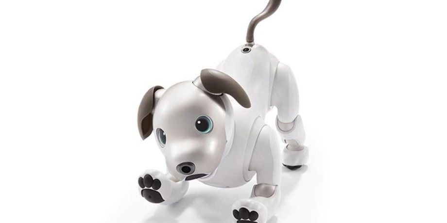 Робот-собака Aibo / Фото: Sony