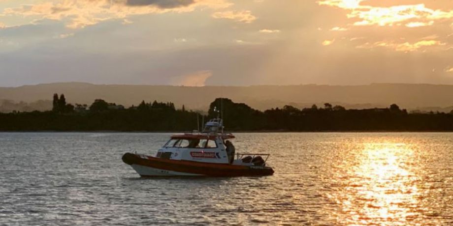 Рятувальники прибули за викликом, щоб витягти з води двох потерпілих, але насправді це були гуси