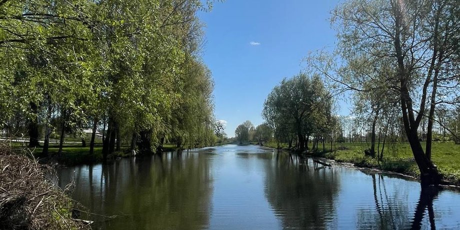 погода в Україні, погода на завтра, наталка діденко, погода в Києві, потепління в Україні, коли будуть дощі