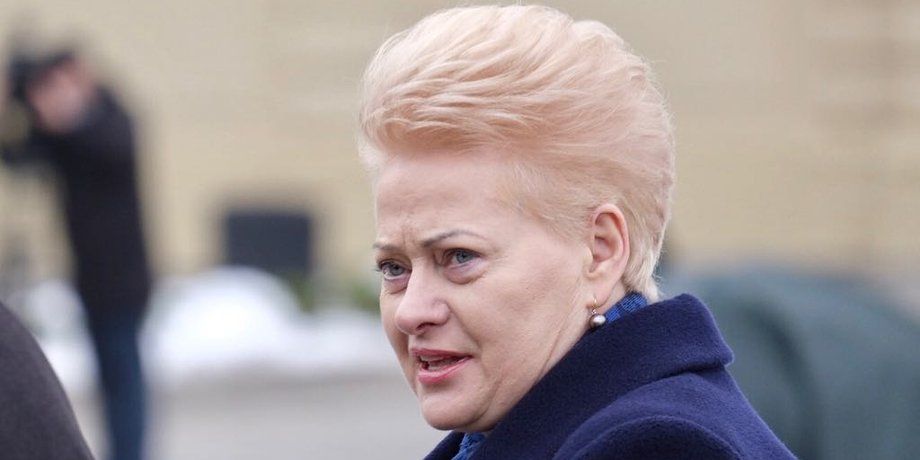 Даля Грибаускайте, Грибаускайте, президент Литви, корупція, міноборони України, Україна, корупція в Україні