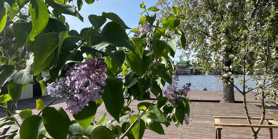 погода в Украине, погода на завтра, погода в Киеве, наталка диденко, прогноз погоды, дожди в мае, заморозки на земле