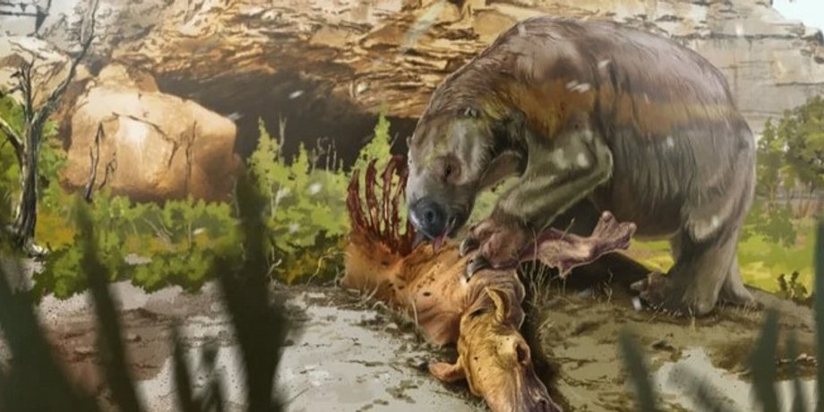 Древний ленивец, Mylodon darwinii, древние животные
