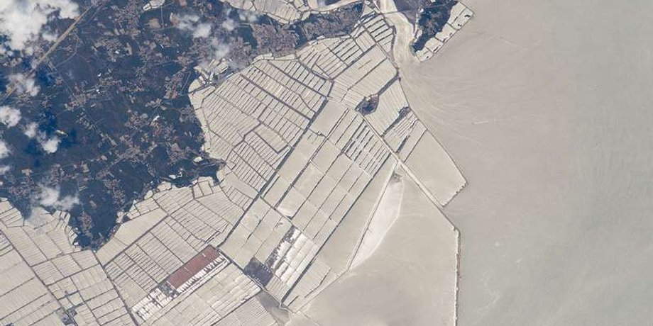 Фото: NASA Earth Observatory