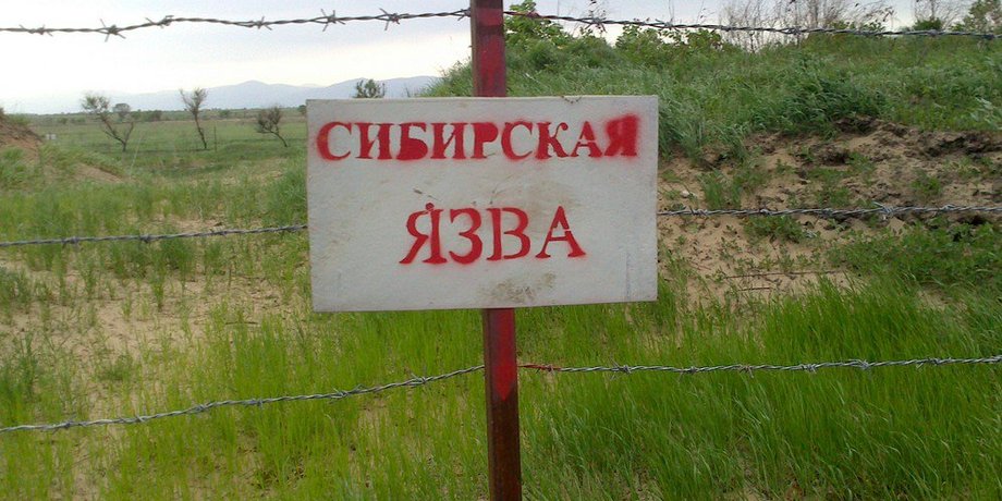 надпись "сибирская язва", табличка "сибирская язва"
