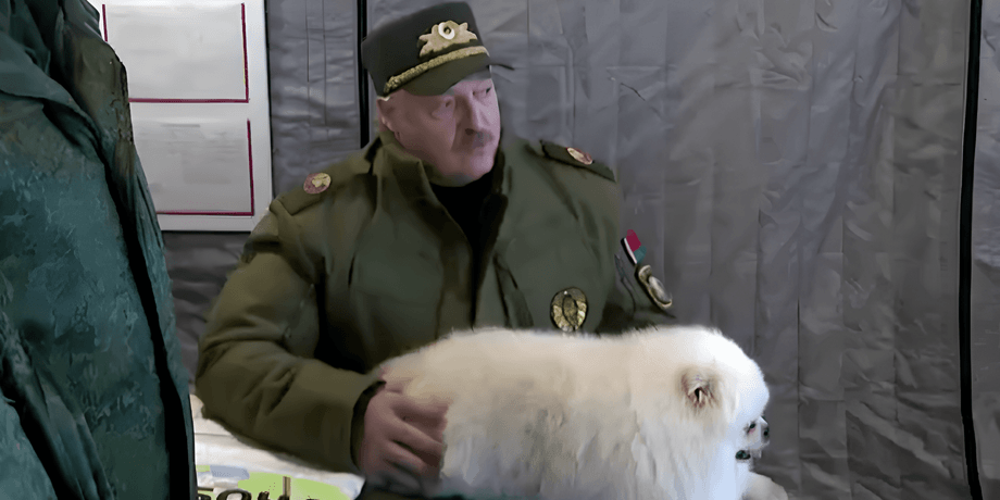 лукашенко, собака лукашенко, шпиц лукашенко, лукашенко пограничники, собака лукашенко какой породы, собака президента