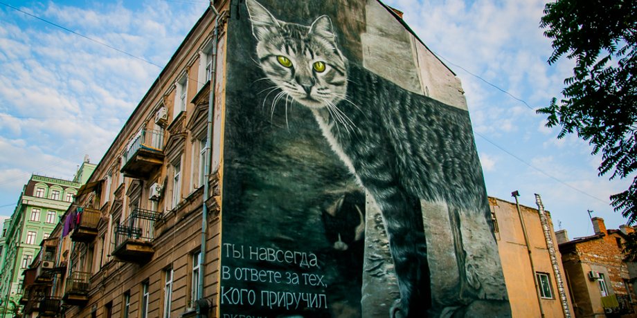 Фото: Южный курьер