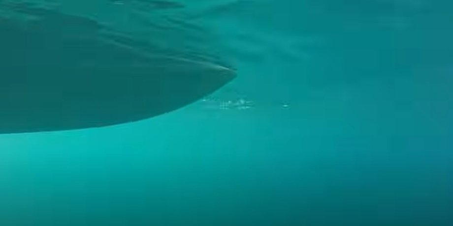 Жінка впустила GoPro камеру на дно океану: побачене на записі шокувало мережу