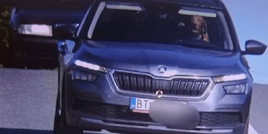 Собака за кермом автомобіля, собака, тварина, правила дорожнього руху, камера спостереження, водій, перевищення швидкості