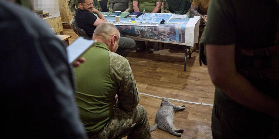 Володимир Зеленський, військові, кіт, Запорізька область, Мелітопольський напрямок