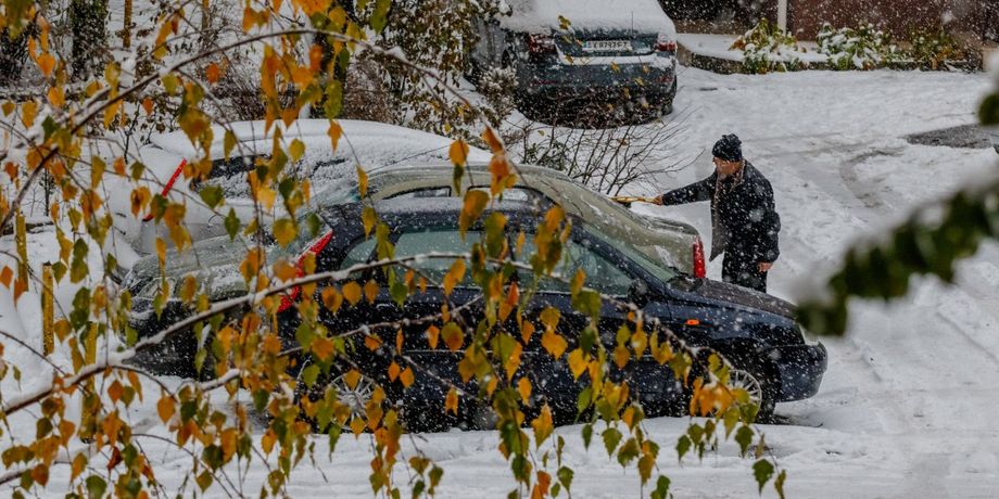 погода Україна, новини погоди, потепління, потепління в Україні