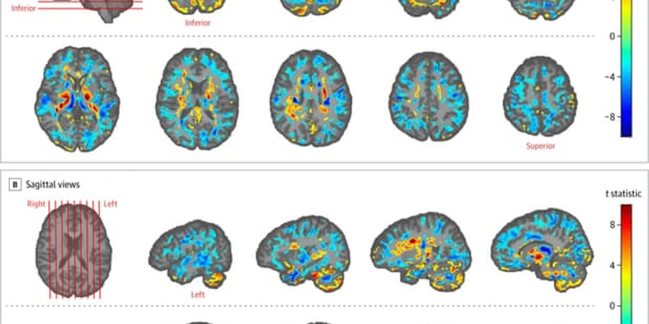 Фото: Jama/American Medical Association