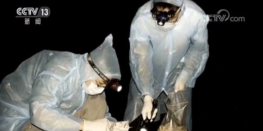 эксперементы над летучими мышами в Китае, лаборатория в Ухани