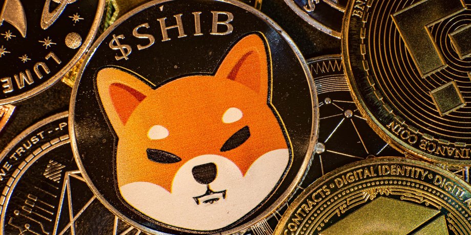 Shiba Inu