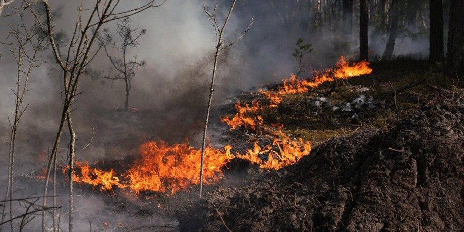 Ліквідація пожежі у лісі Чорнобильської зони 8 травня