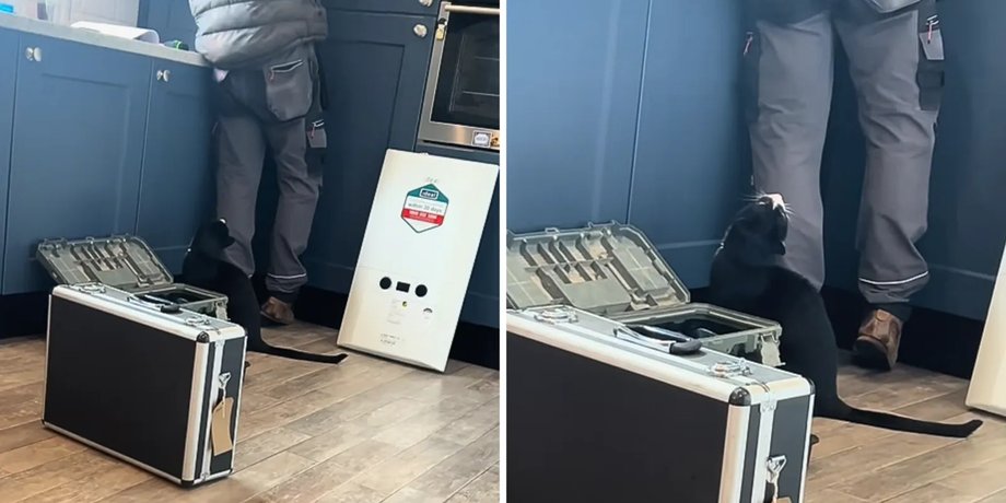 кіт сантехнік