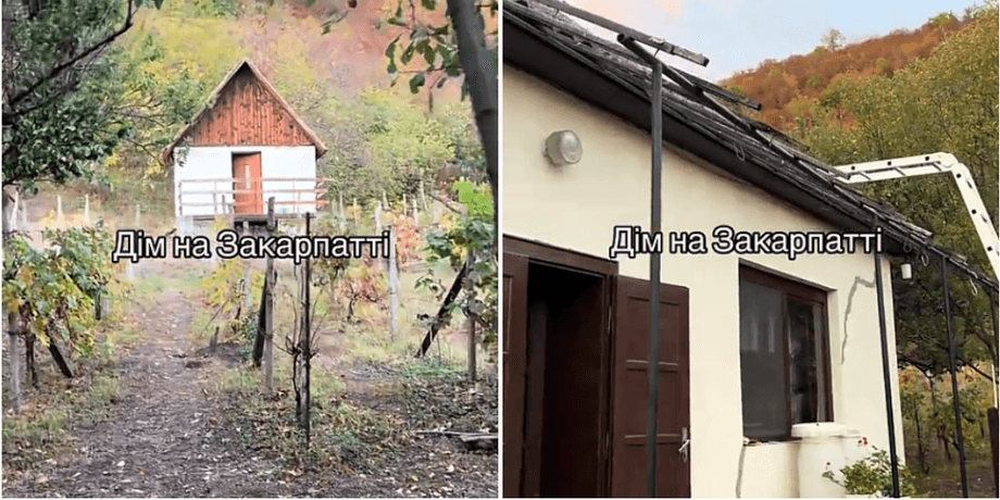 Купити будинок на Закарпатті