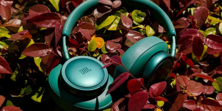 Наушники с шумоподавлением JBL Live 780NC с шумоподавлением