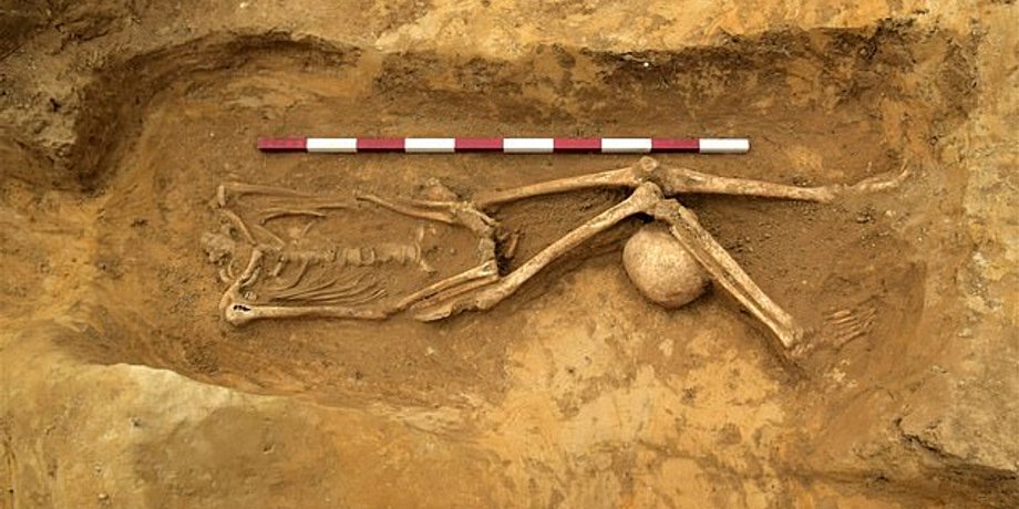 Фото: Archaeological Solutions