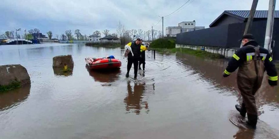 затоплення, київ, київська область, село, ДСНС, річка Десна, Десна, розлив річки, потоп, порятунок мешканців
