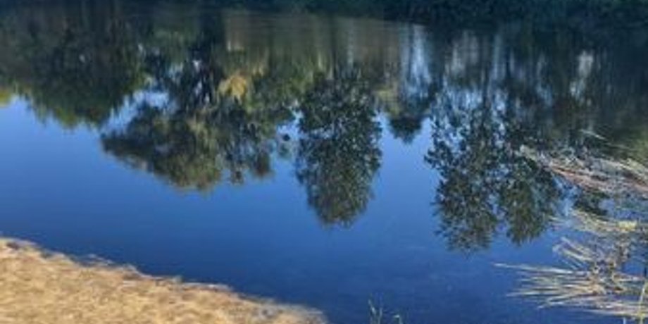 Река Сейм, загрязнение воды, улучшение качества с