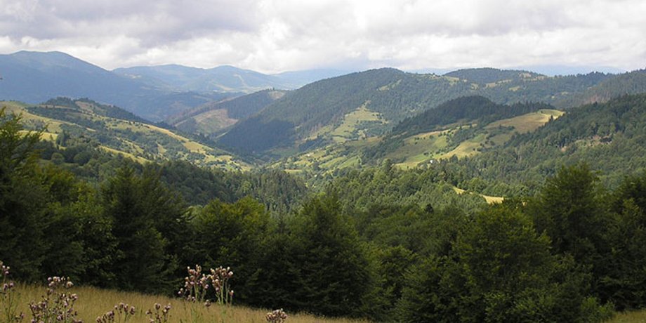 travelgid.net.ua