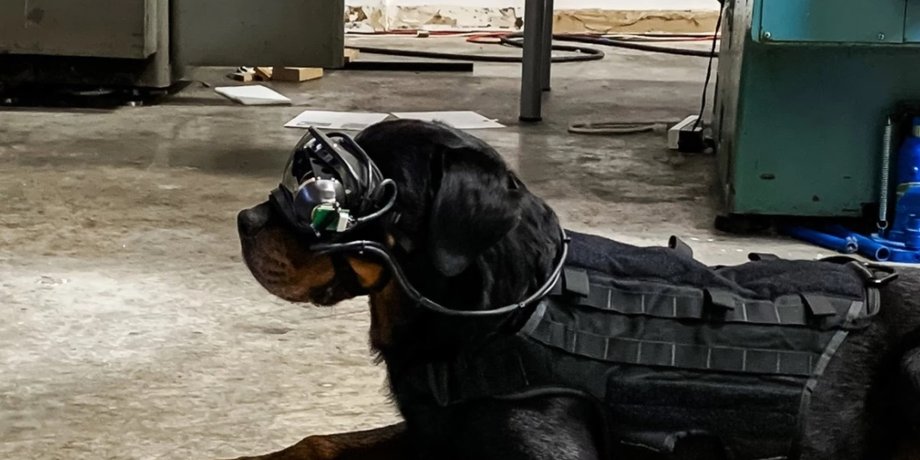 Фото: Command Sight / US Army