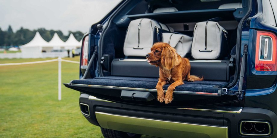 Rolls-Royce, Bentley, Авто, Автомобили, США, Юмор, Собаки, Патенты, Торговая марка, Фото