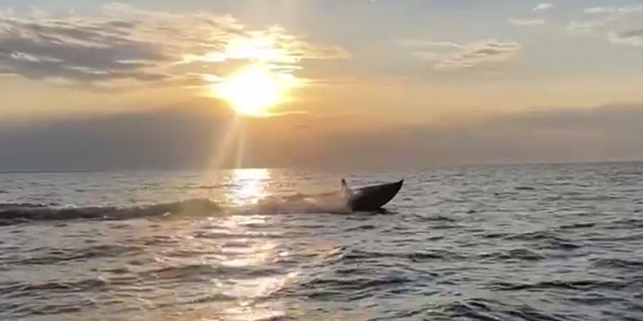 Морський малюк, дрон Морський малюк, морський дрон, Sea Baby