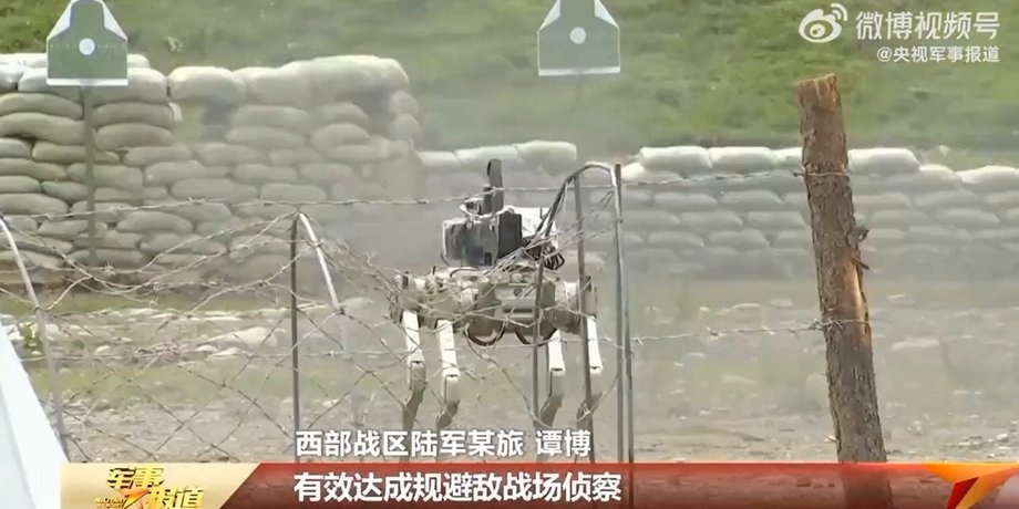 Робопес, боевой робот