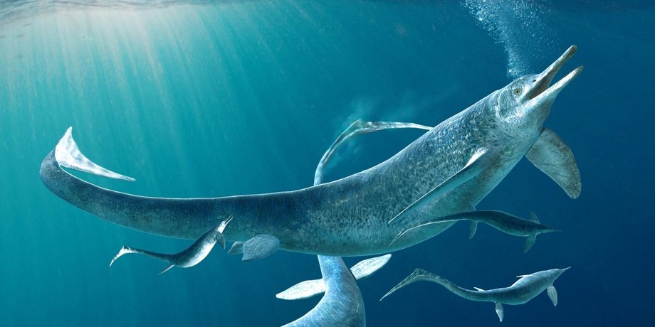 Besanosaurus, ихтиозавр, фото, морской хищник