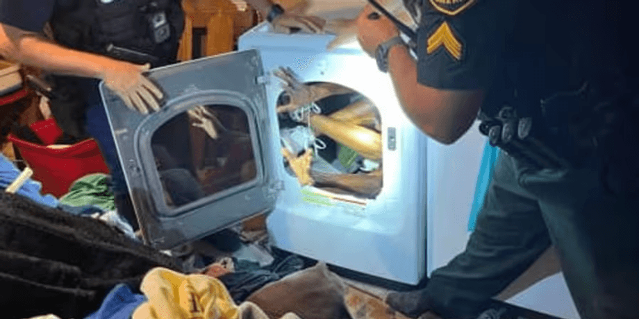 Злочинець ховався в пральній машині, пральна машина, склався навпіл, чоловік ховався від поліції, ордер на обшук