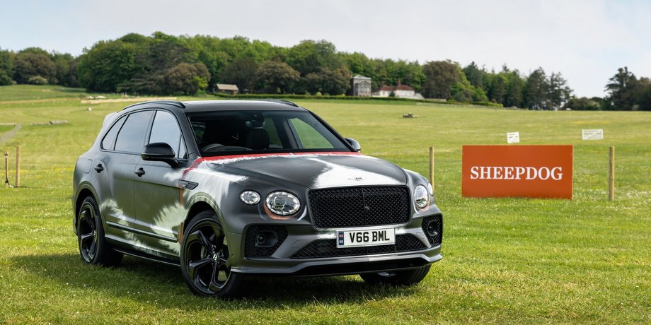 Bentley, Bentley Bentayga, Собаки, Кроссовери, Фестиваль, Британія, Фото, Авто, Автомобілі, Дизайн
