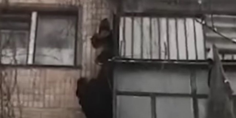 Тернопіль, хлопчик, дитина, подія, балкон,