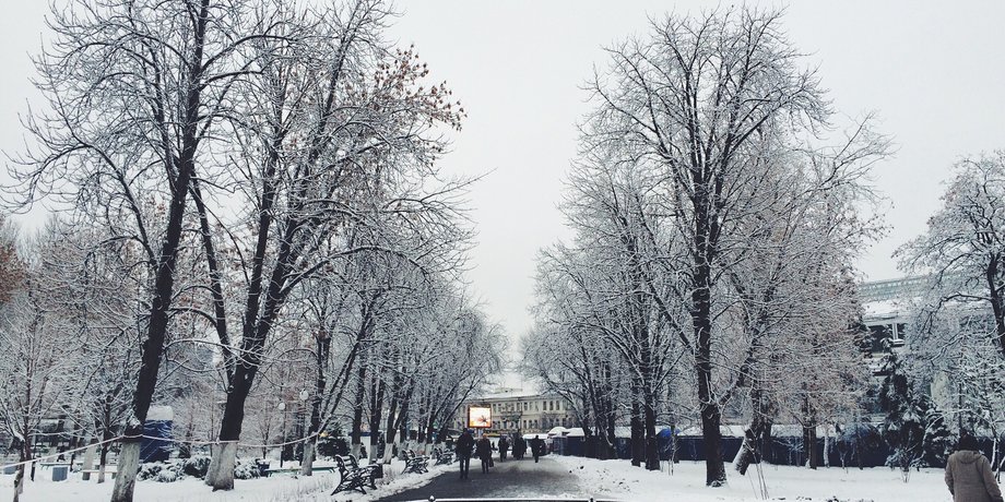 Фото: Пикабу