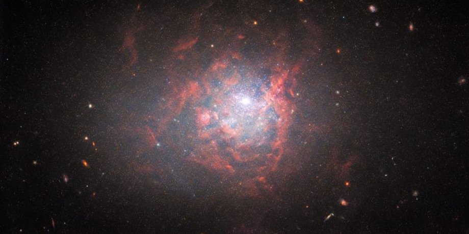 Карликовая галактика, NGC 1705