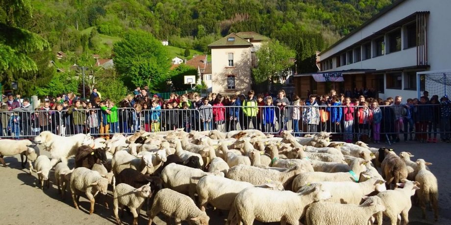 Фото: Le Parisien