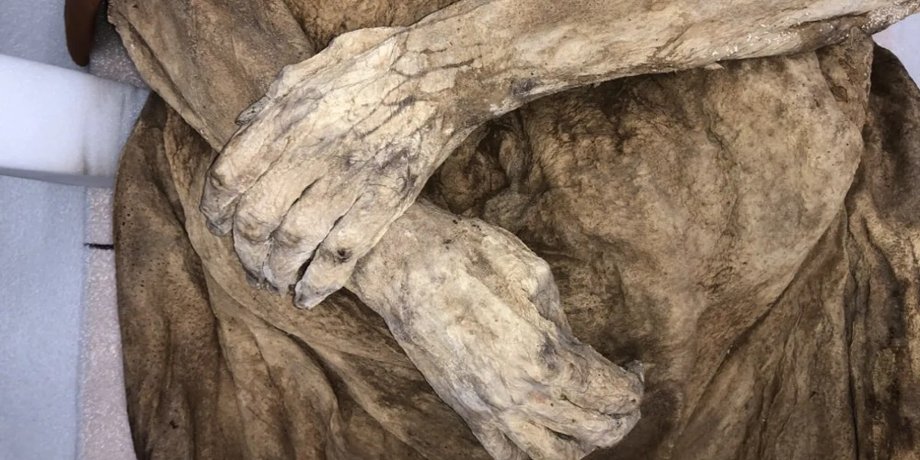 мумия, история, болезни, археология, ртуть
