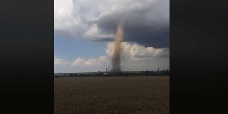 Фото: Скриншот из видео