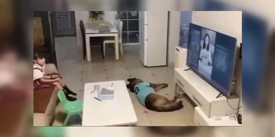 Отец оставил дочь дома с собакой: увиденное на камере удивило его и сеть (видео)