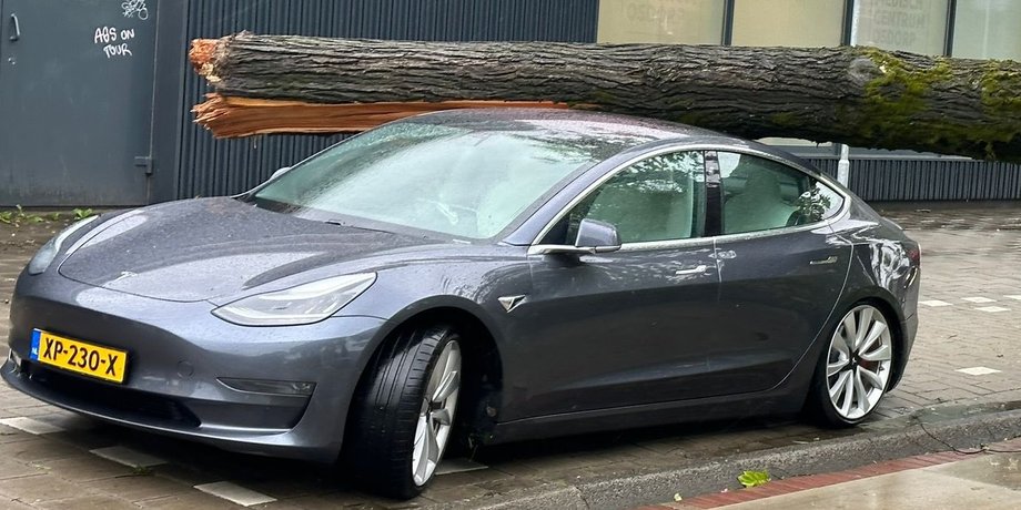Tesla, Tesla Model 3, Непогода, Шторм, Дерево, Инцидент, Везение, Авто, Автомобили, Фото, Видео, Электромобили