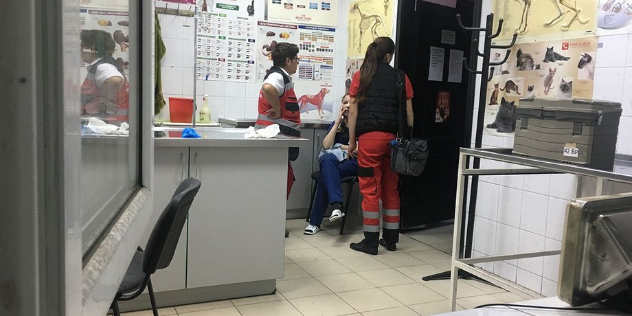 Нападение на ветклинику в Киеве/Фото: Информатор