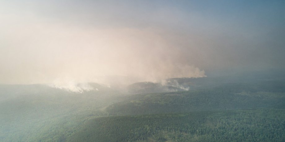Фото: Greenpeace